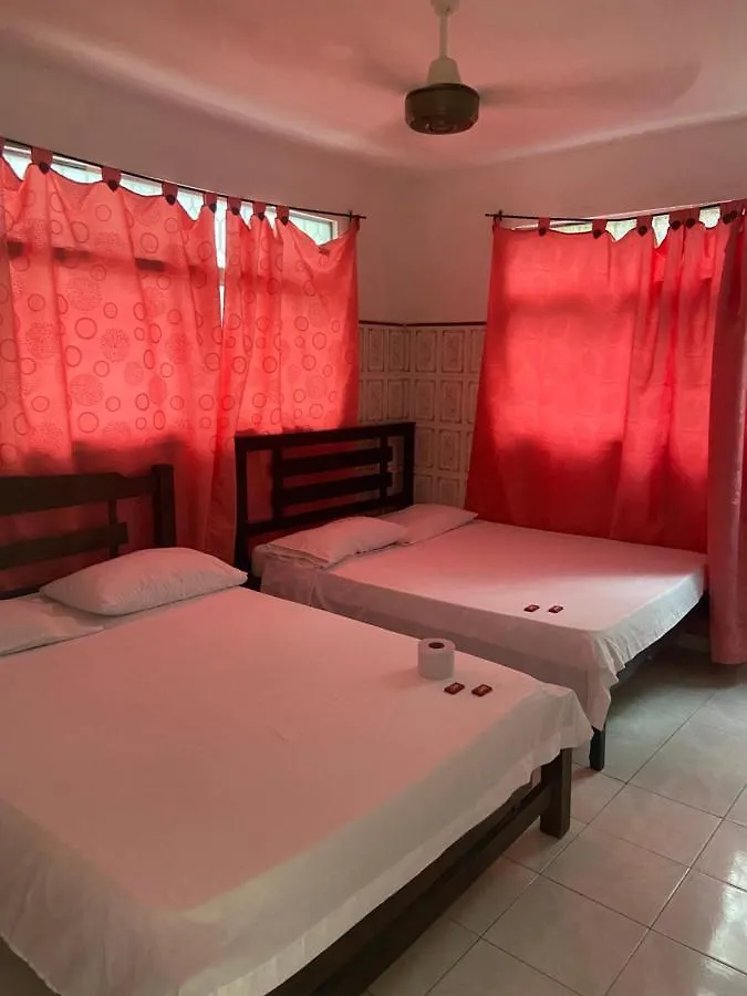 Hostal La Terraza 圣玛尔塔 哥伦比亚
